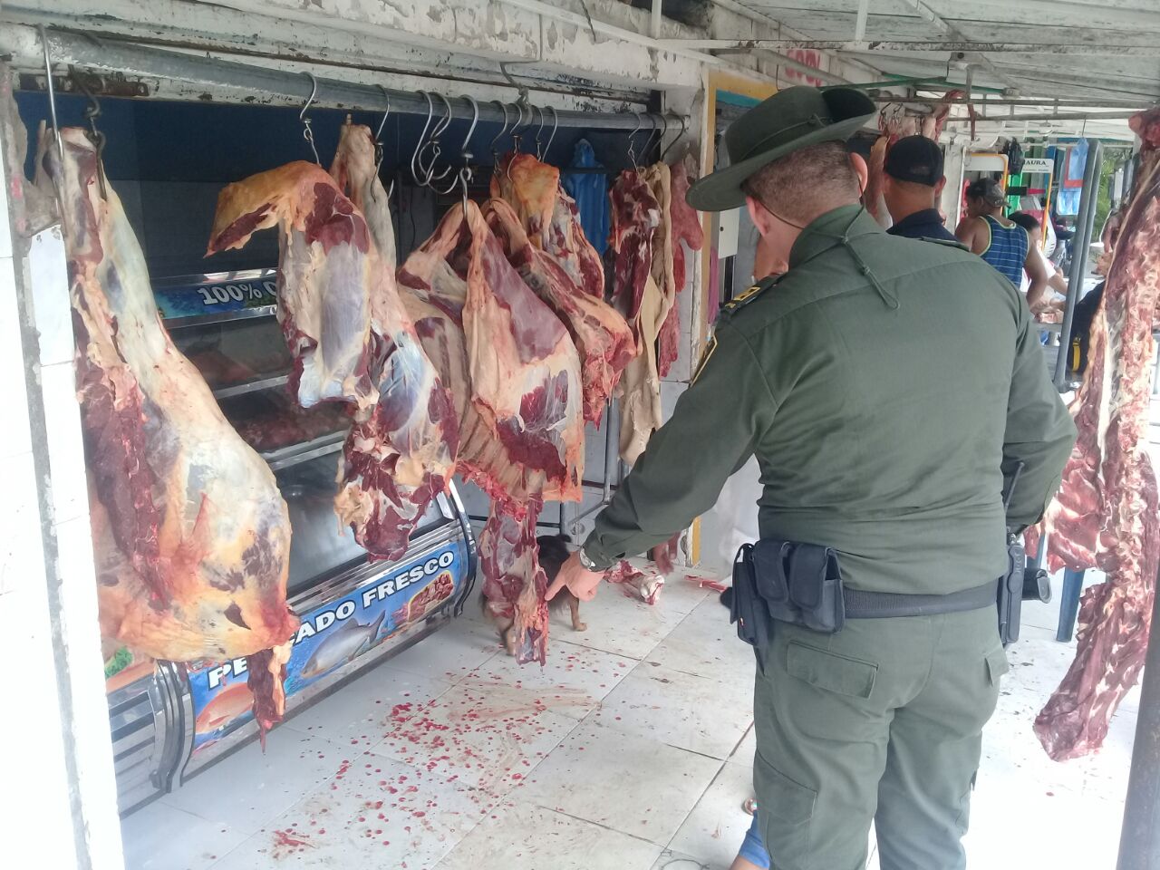 garantizamos-comercializacion-de-productos-de-optima-calidad