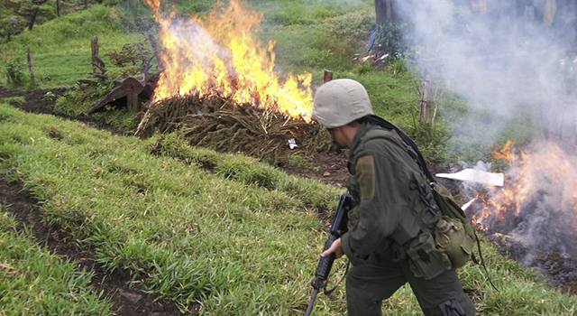 Avanza “Plan Institucional todos contra el Narcotráfico”-en el Meta