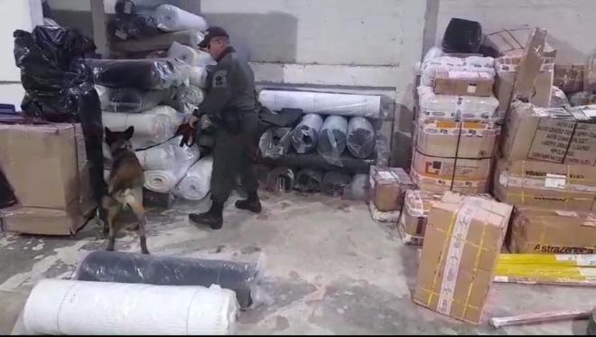 Gracias al canino Máximo, se logra la incautación del estupefaciente 