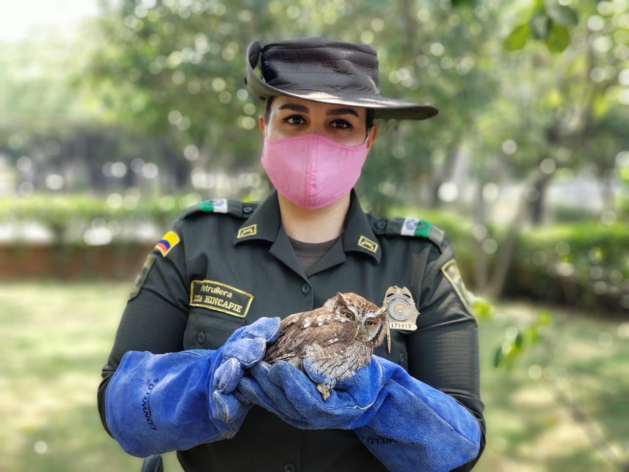 juntos protegemos a los animales