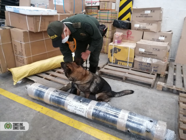 Lucha contra las drogas en el departamento del Tolima