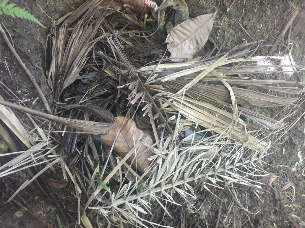 Hallamos-depósito-de-armas-y-municiones-en-Choco