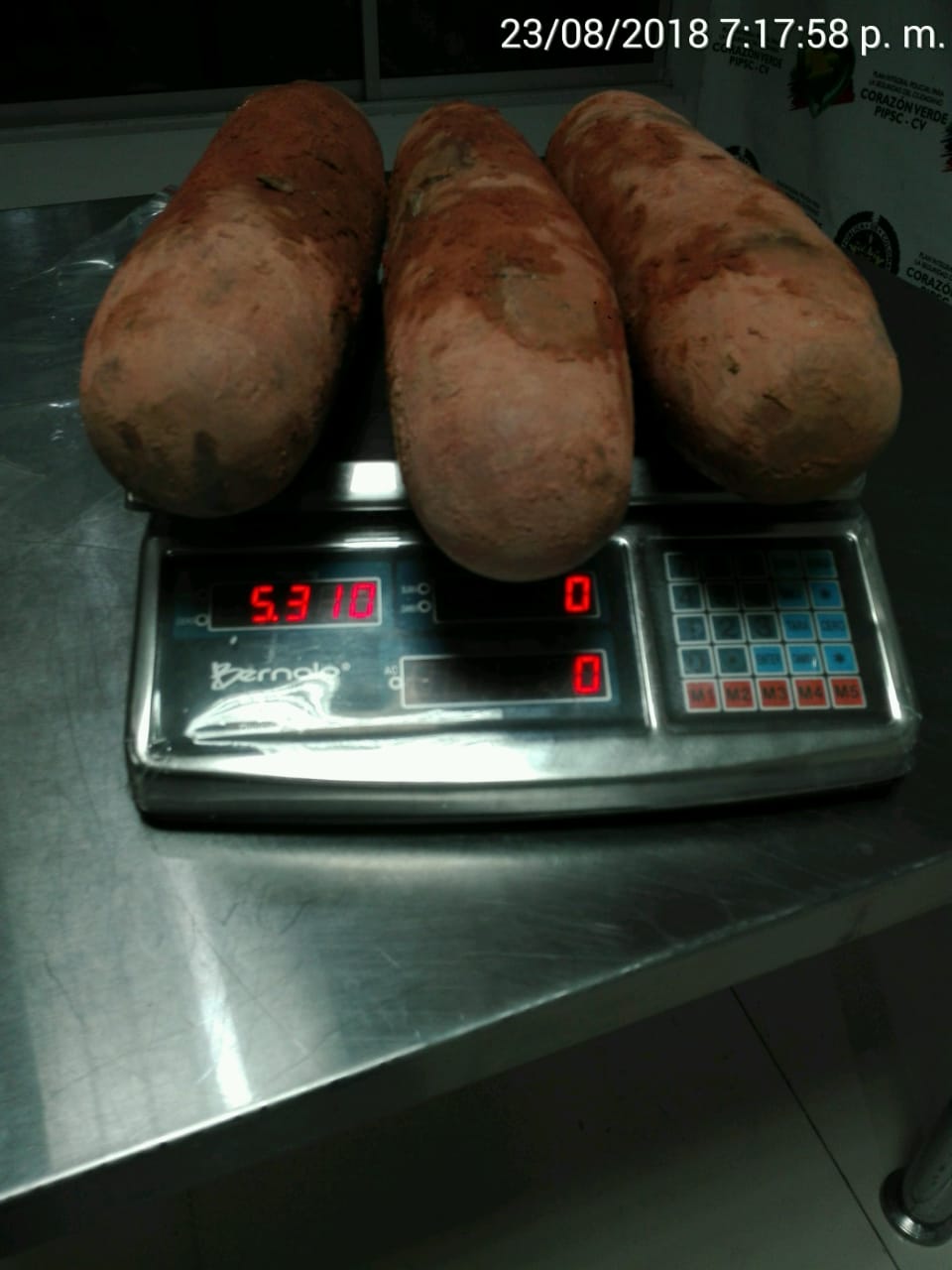 Hallamos-cocaína-en-tubérculos 