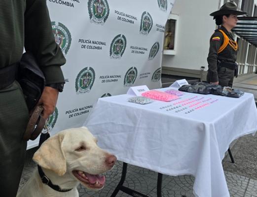 Carabineros incauta pastillas de extasis y marihuana en Manizales