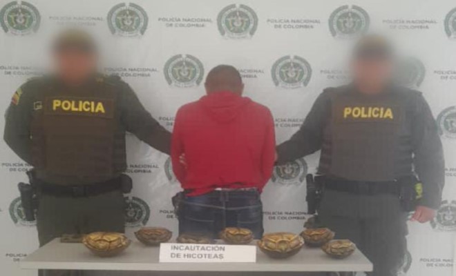 capturado por el delito de aprovechamiento ilícito de los recursos naturales