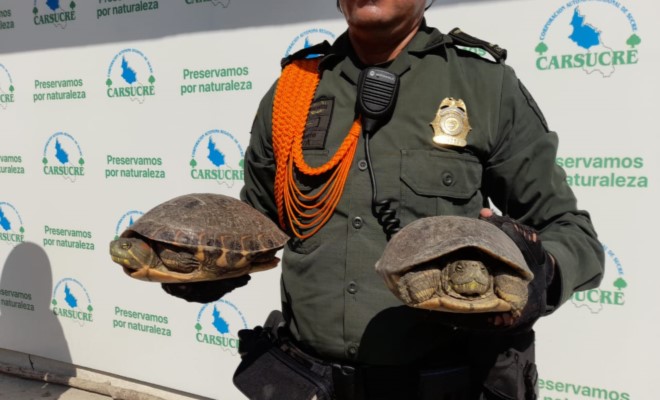 Seccional de Carabineros y Protección Ambiental