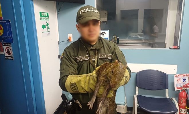 No importa el lugar la Policía Nacional, está lista para proteger la fauna silvestre