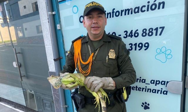 No importa el lugar, la Policía Ambiental estará presente para proteger los animales