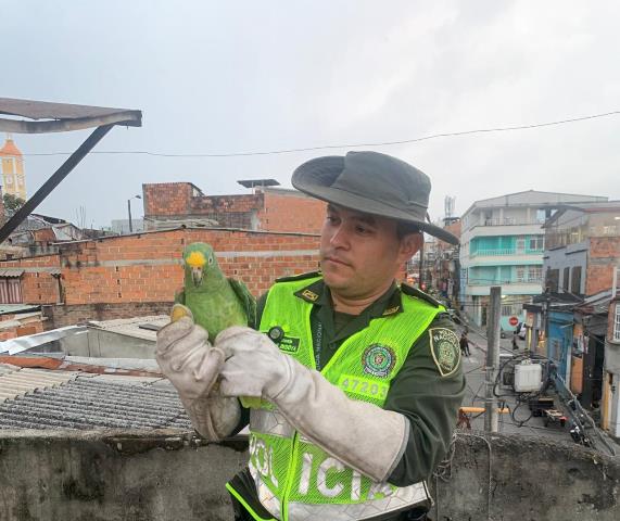 Tu-casa-no-es-mi-casa-mi-casa-es-el-bosque