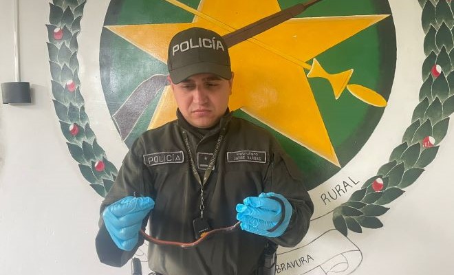 Los animales silvestres deben ser prioridad para todas las comunidades