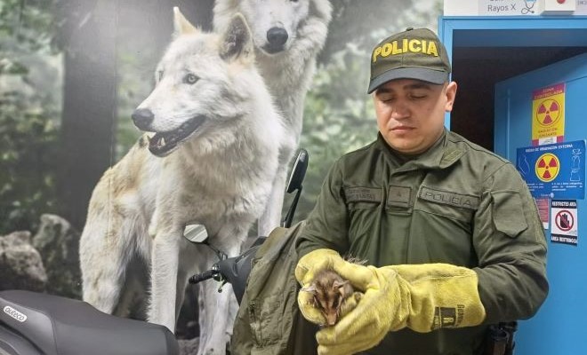 La Policía adelanta acciones de prevención y control en defensa de todos los animales