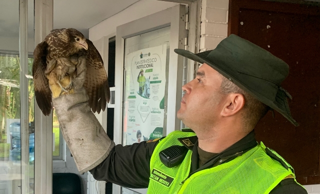 Actividades de prevención 