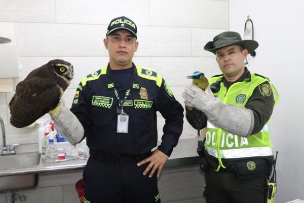 La Policía Nacional protege los animales 
