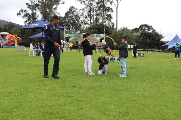 La Escuela de Guías y Adiestramiento Canino, entrena perros súper héroes.