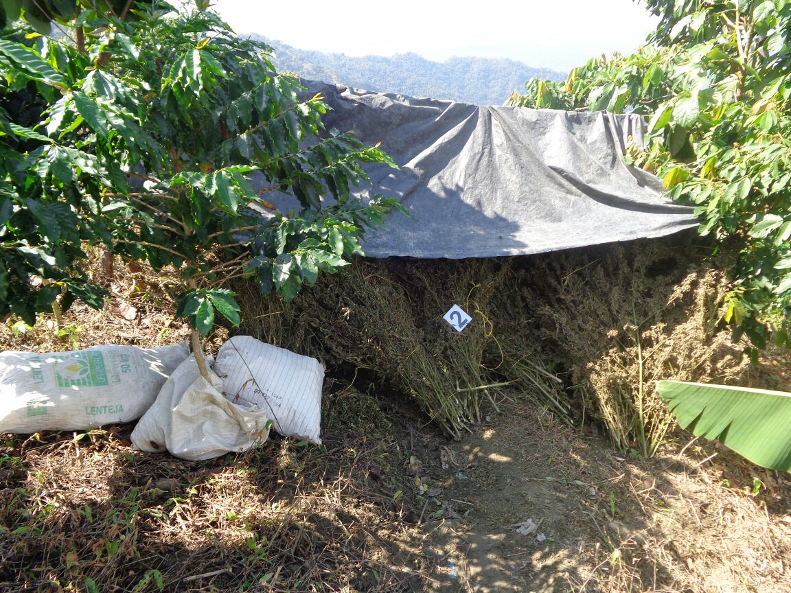 Policía Antinarcóticos destruye dos centros de acopio y un laboratorio para el procesamiento de cocaína y marihuana 