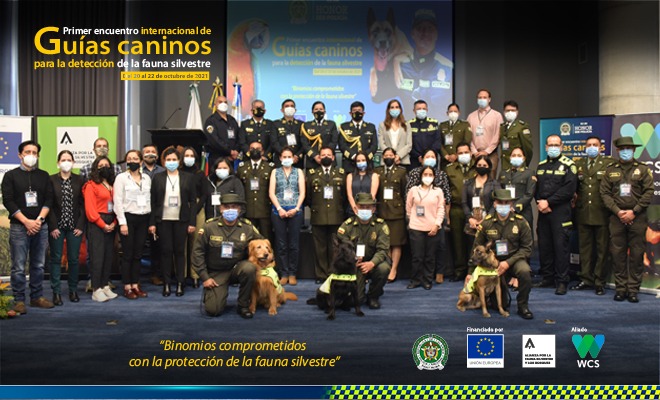 Algunos guías caninos 