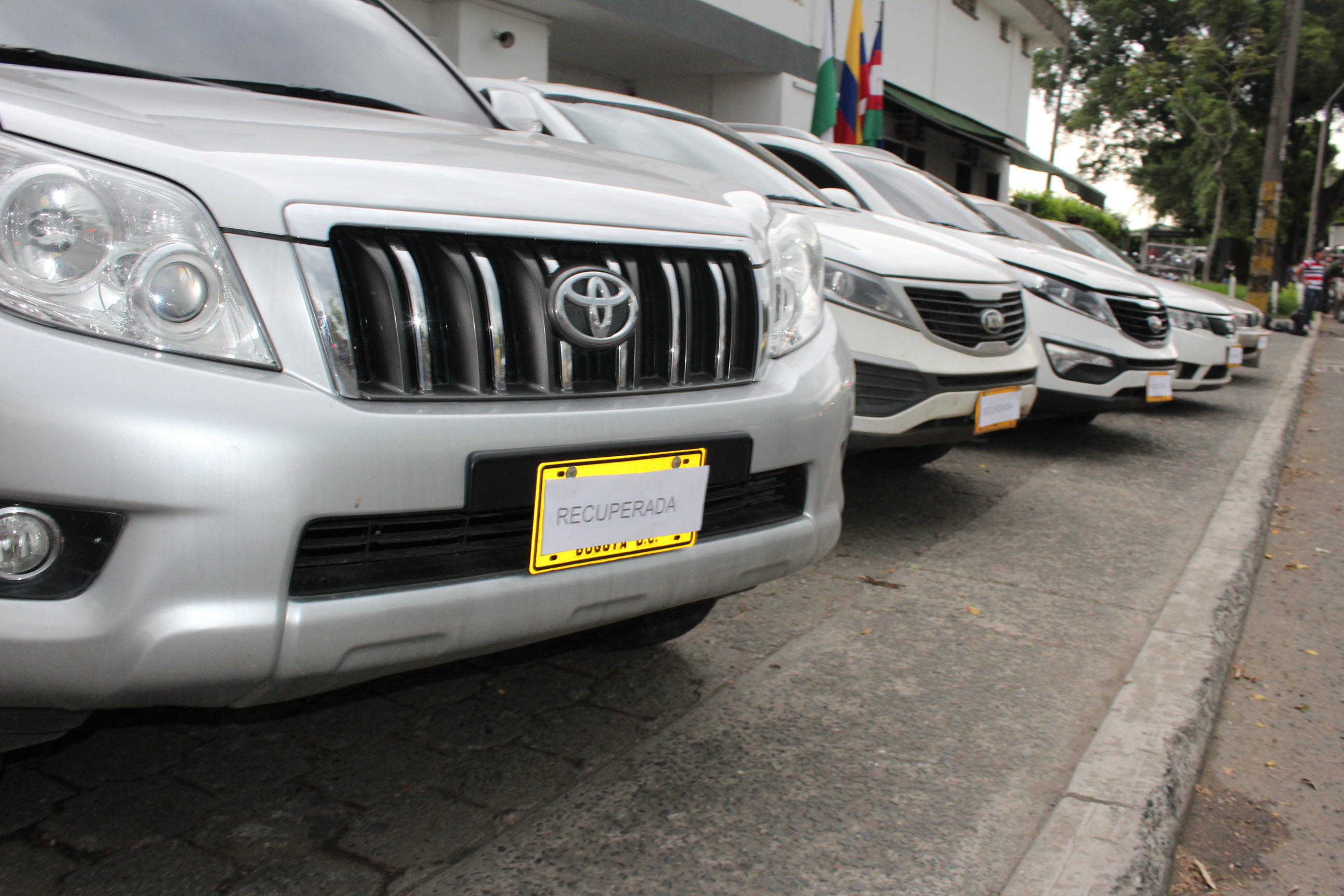 'La web' se dedicaba a hurtar automotores en Cali