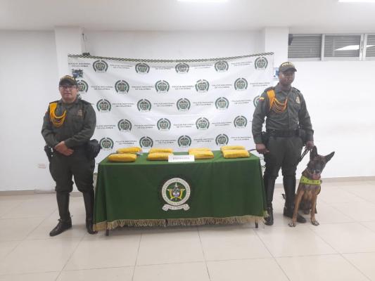 incautación de estupefacientes 