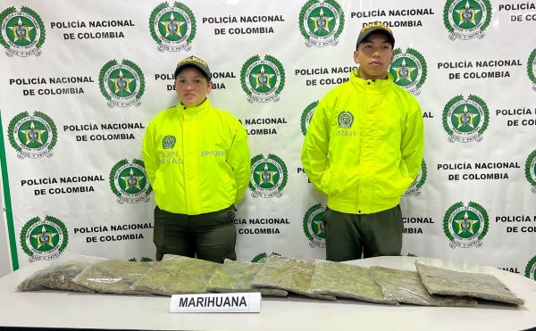 incautación de marihuana