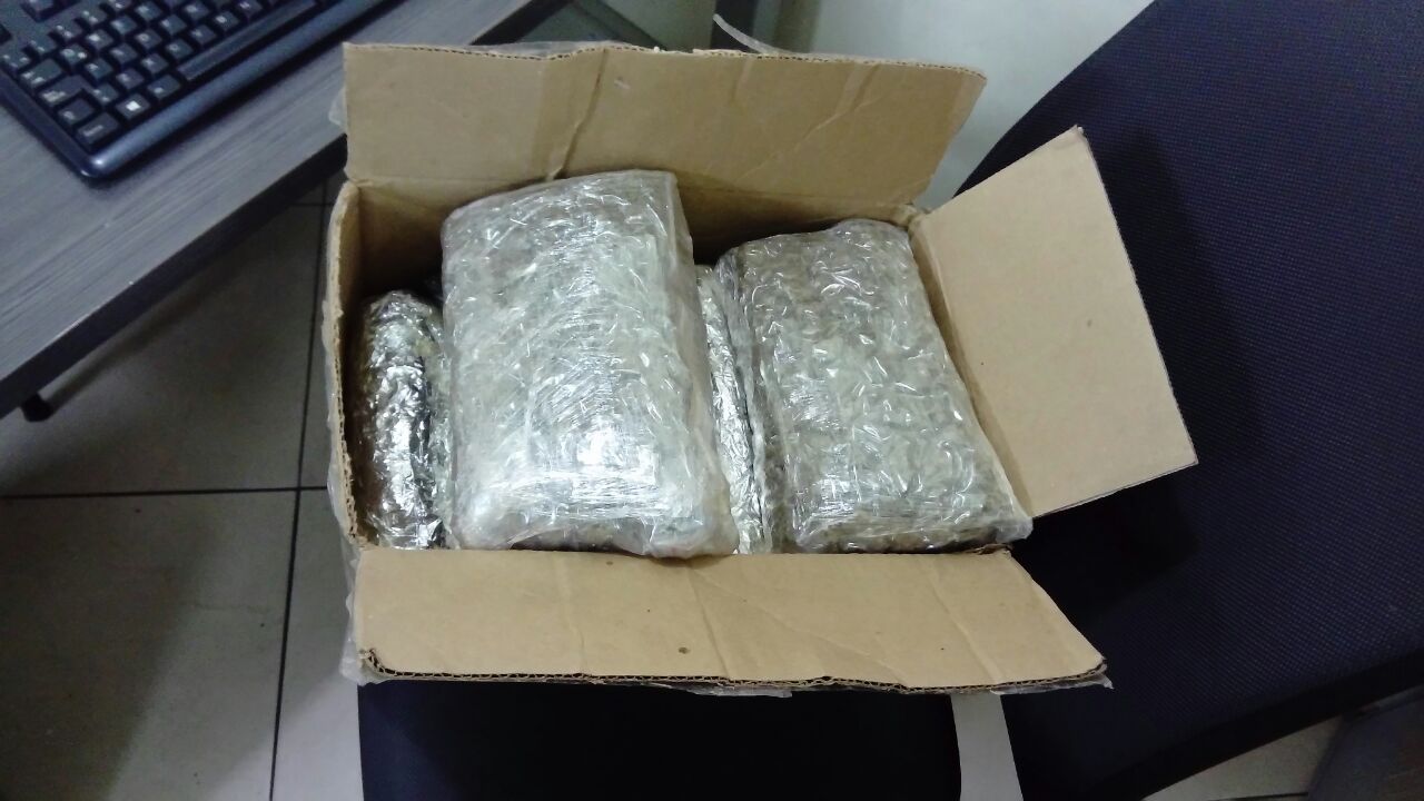  incautacion-de-marihuana