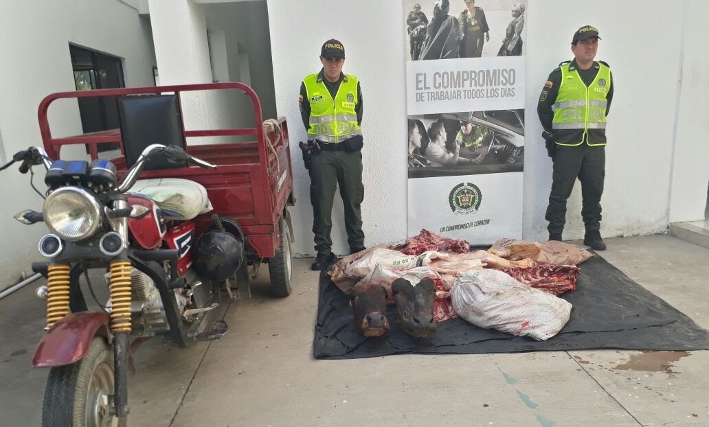 incautacion-carne-codigo de policia-incumplimiento normatividad sanitaria-cuadrantes-mnvcc-tenerife-magdalena