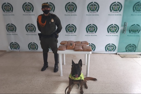 Mediante controles en Aeropuerto se logra la incautación de 11 kilogramos de estupefacientes 