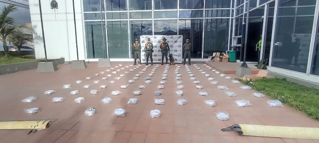 Canino Mambo logra incautación