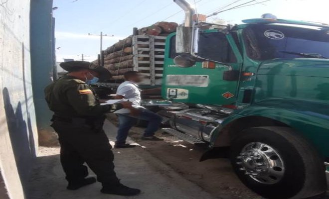 Policía rescatando serpiente