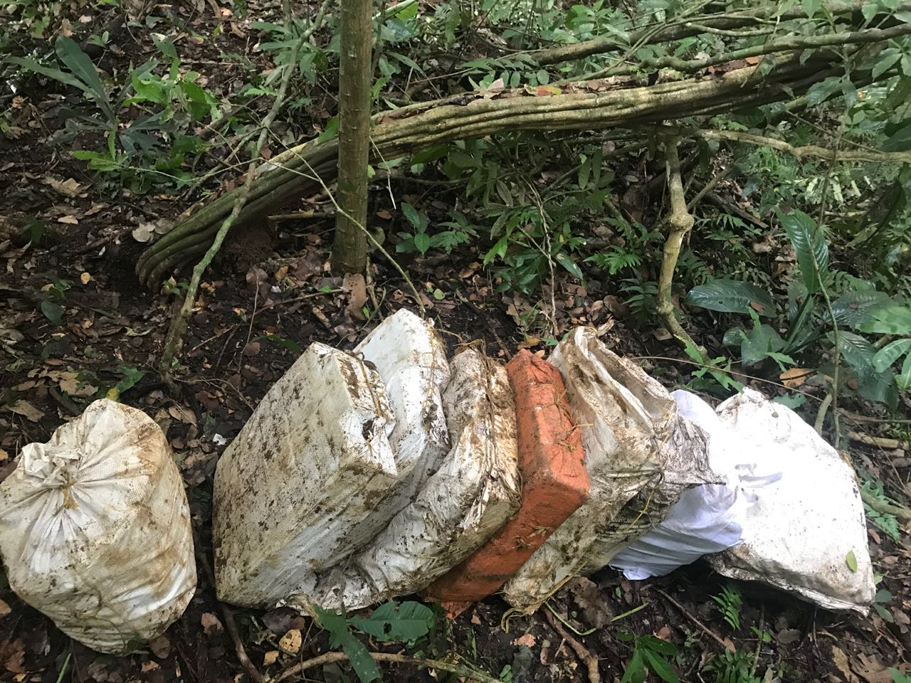 Incautamos-232-kilos-de-cocaína-en-Panamá