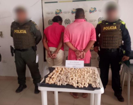 Incautan más de 1.200 huevos de iguana listos para su comercialización.