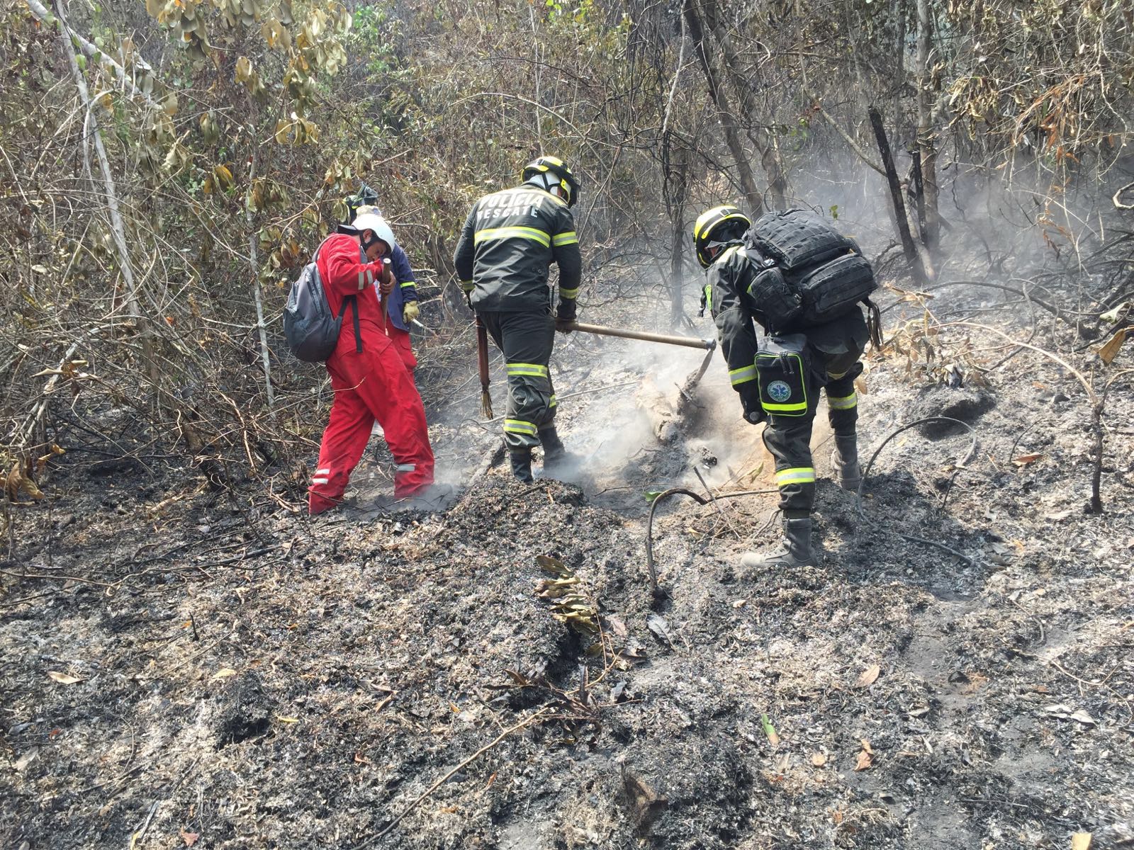 La Policía Nacional en Santander lidera campaña contra incendios forestales