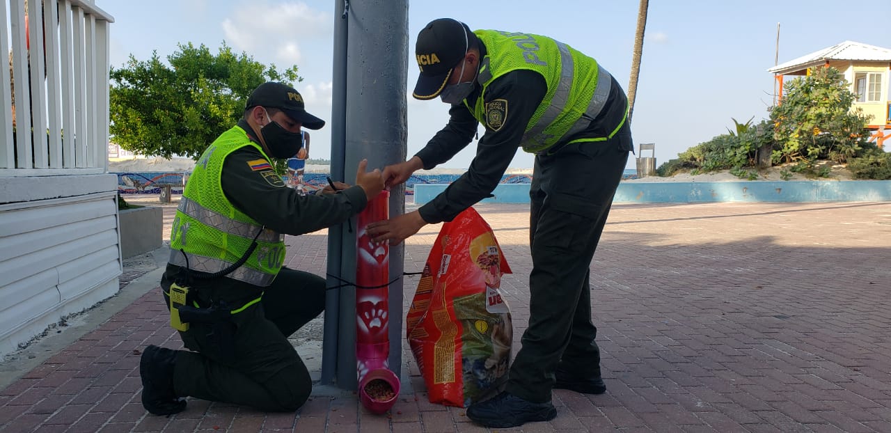 Instalamos dispensadores de alimento para los ‘peluditos’ sin hogar
