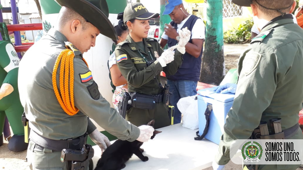 Adelantamos  jornada de vacunación de caninos y felinos en el sector de las palmas
