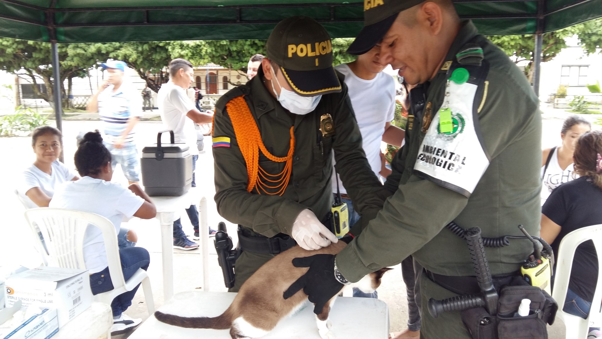 Fundación pitbull amazonas se unió a la jornada en beneficio de las mascotas en leticia