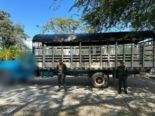 La Policía Nacional avanza en las operaciones contra el hurto sobre cabezas de ganado en el Meta 