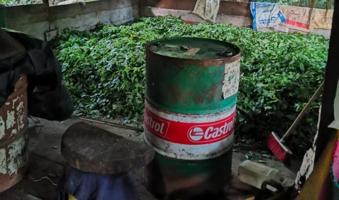 Operativos contra el flagelo de las drogas en Caquetá