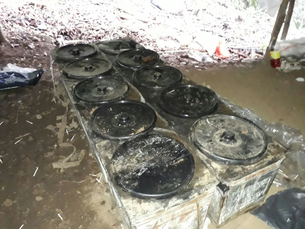 Destruido laboratorio para el procesamiento de cocaína en Boyacá 