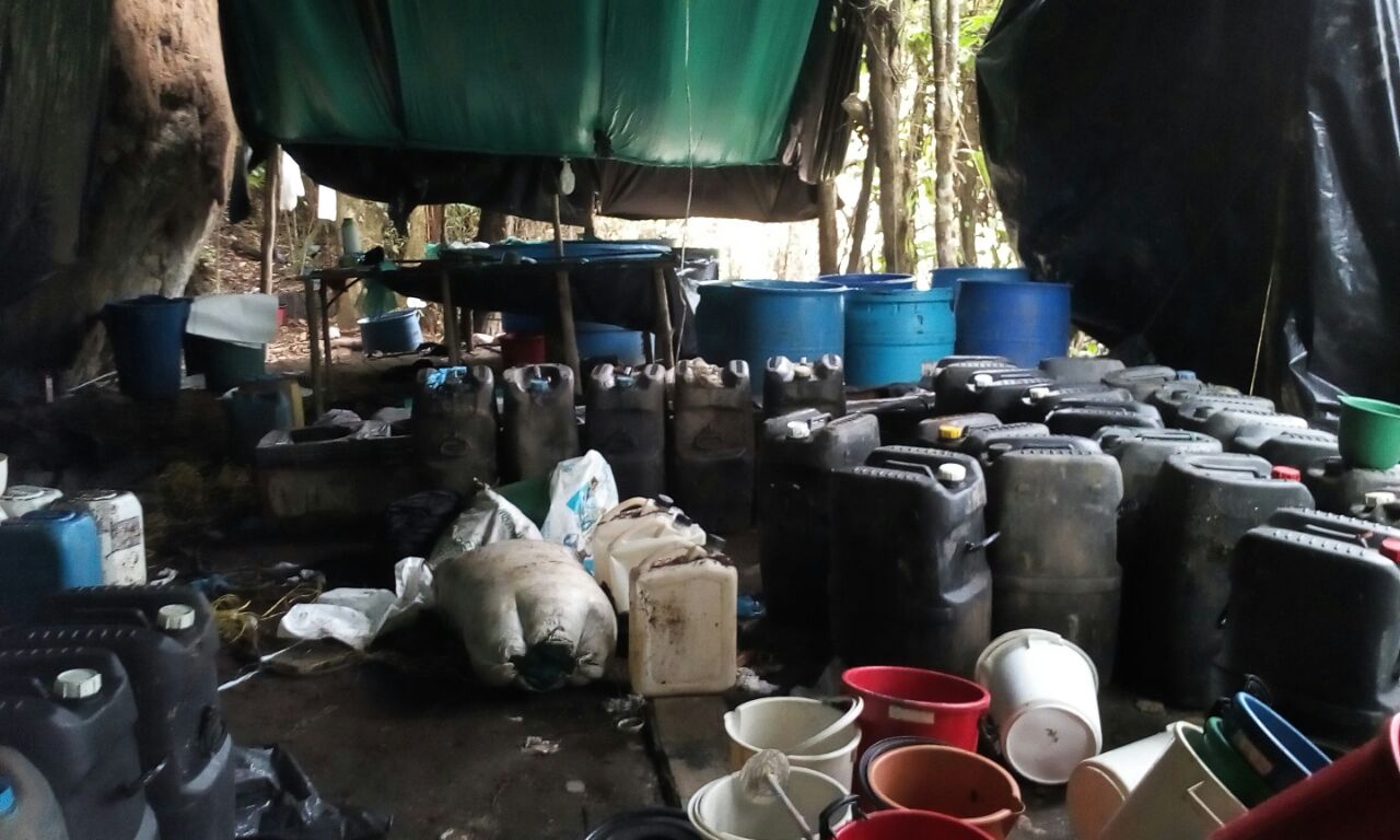 Destruido laboratorio para el procesamiento de cocaína en Boyacá 