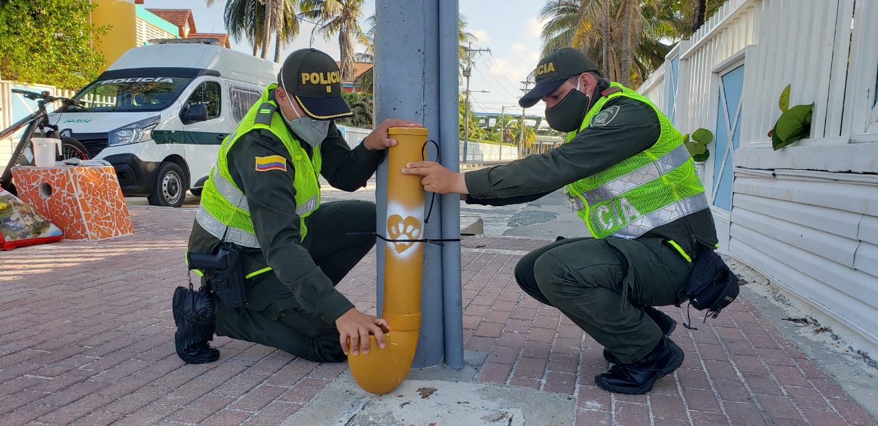 Instalamos dispensadores de alimento para los ‘peluditos’ sin hogar