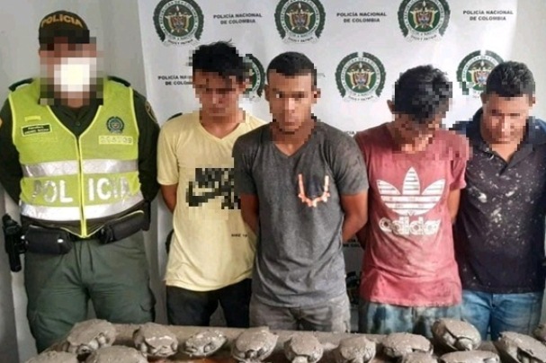 Los-capturamos-por-comercializar-especies-silvestres-en-el-Cesar