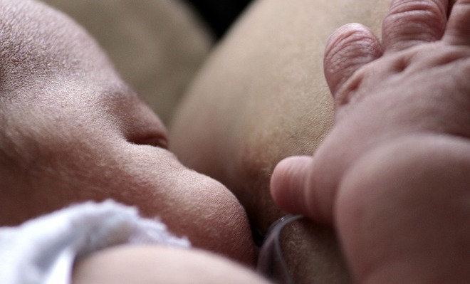 Los bebés deben ser alimentados tan a menudo como requiera, de día y de noche, sin usar biberones.