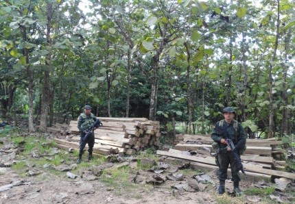 En los procedimientos se incautaron 197 m3 de madera