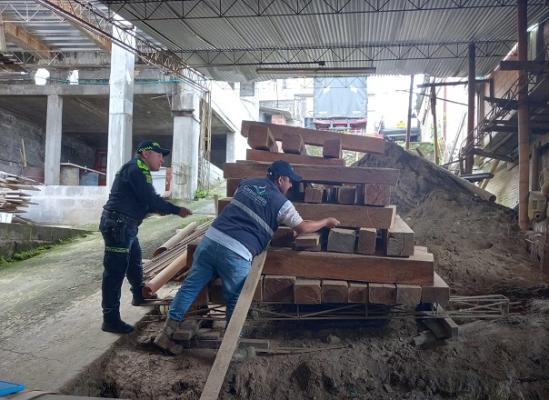 Cinco metros cúbicos de madera de la especie cedro fue incautada en Villamaría