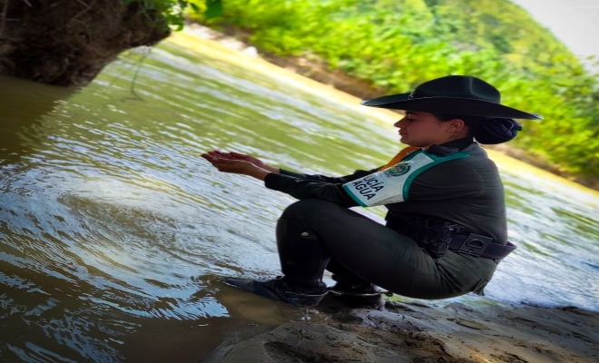 majestuosas ciénagas del sur de Bolívar