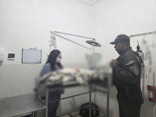 maltrato animal bajo la Ley Ángel