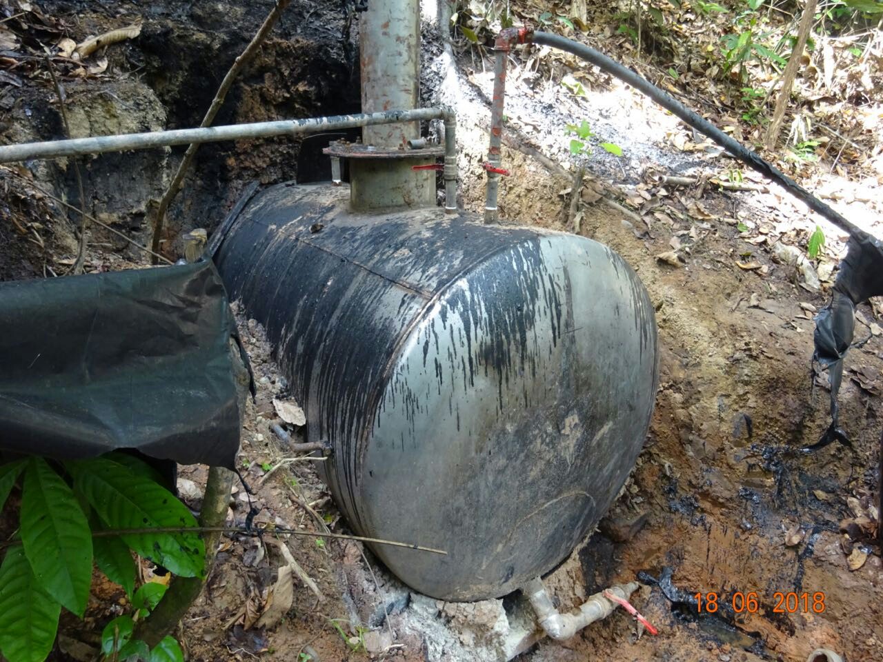 Destruidos-varios-complejos-para-la-producción-del-alcaloide   