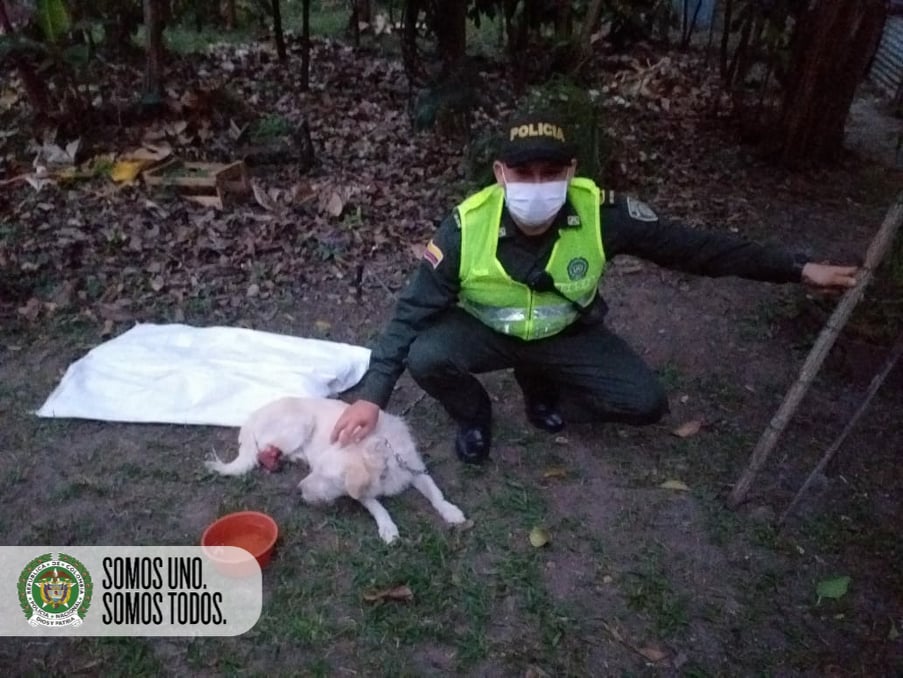 “Monito” se ha convertido en el mejor amigo de los Policías de Rovira