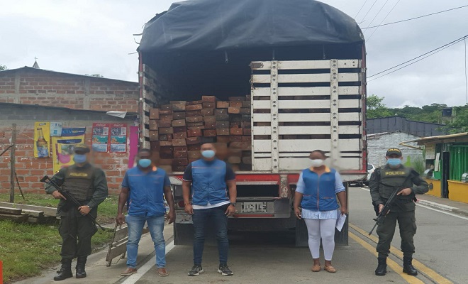 No paran los operativos para frenar la tala de árboles y el tráfico ilegal de madera