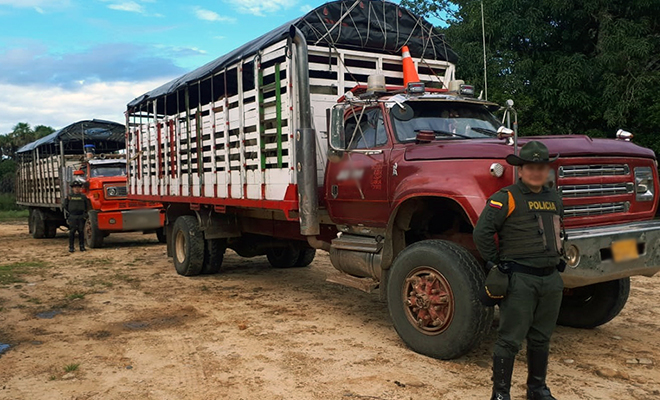 Ofensiva Nacional-contra-el-Delito-combate-el-hurto-sobre-cabezas-de-ganado-en-Meta