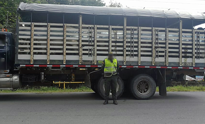 Todos-Contra-el-Hurto-combatimos-el-abigeato-en-el-Meta